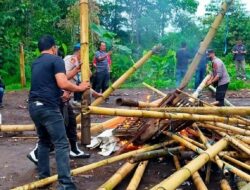 Petugas Gabungan Gerebek Lokasi Judi Sabung Ayam di Kawangkoan Minahasa